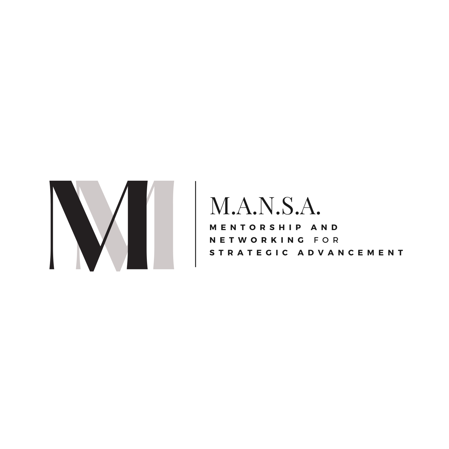 MANSA Consultants