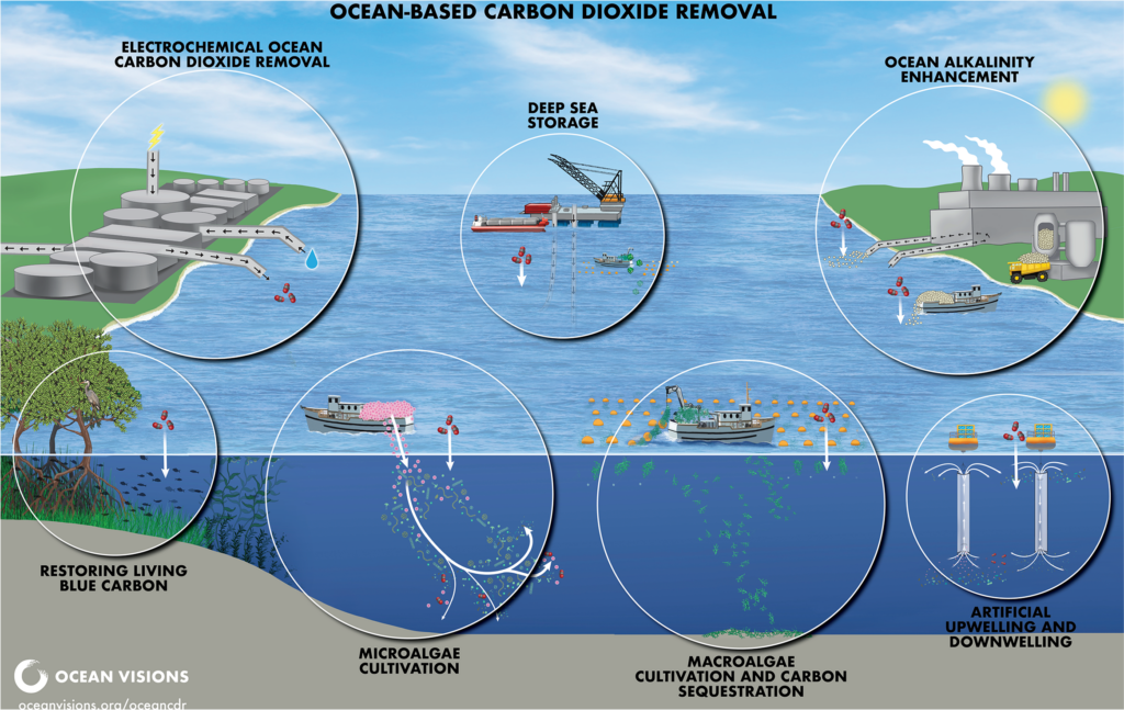 Image courtesy Ocean Visions