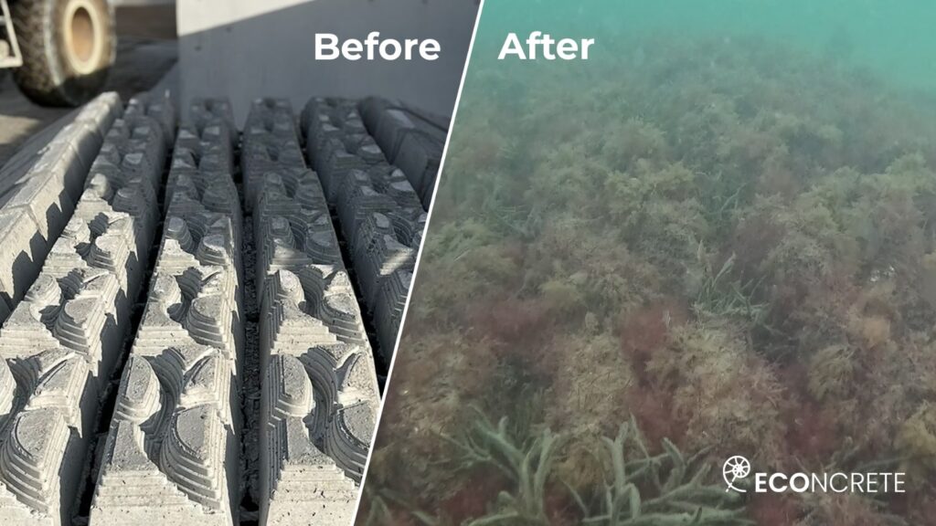 Courtesy of ECOoncrete 